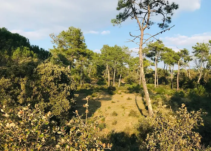 La De Chaleur & شقة *